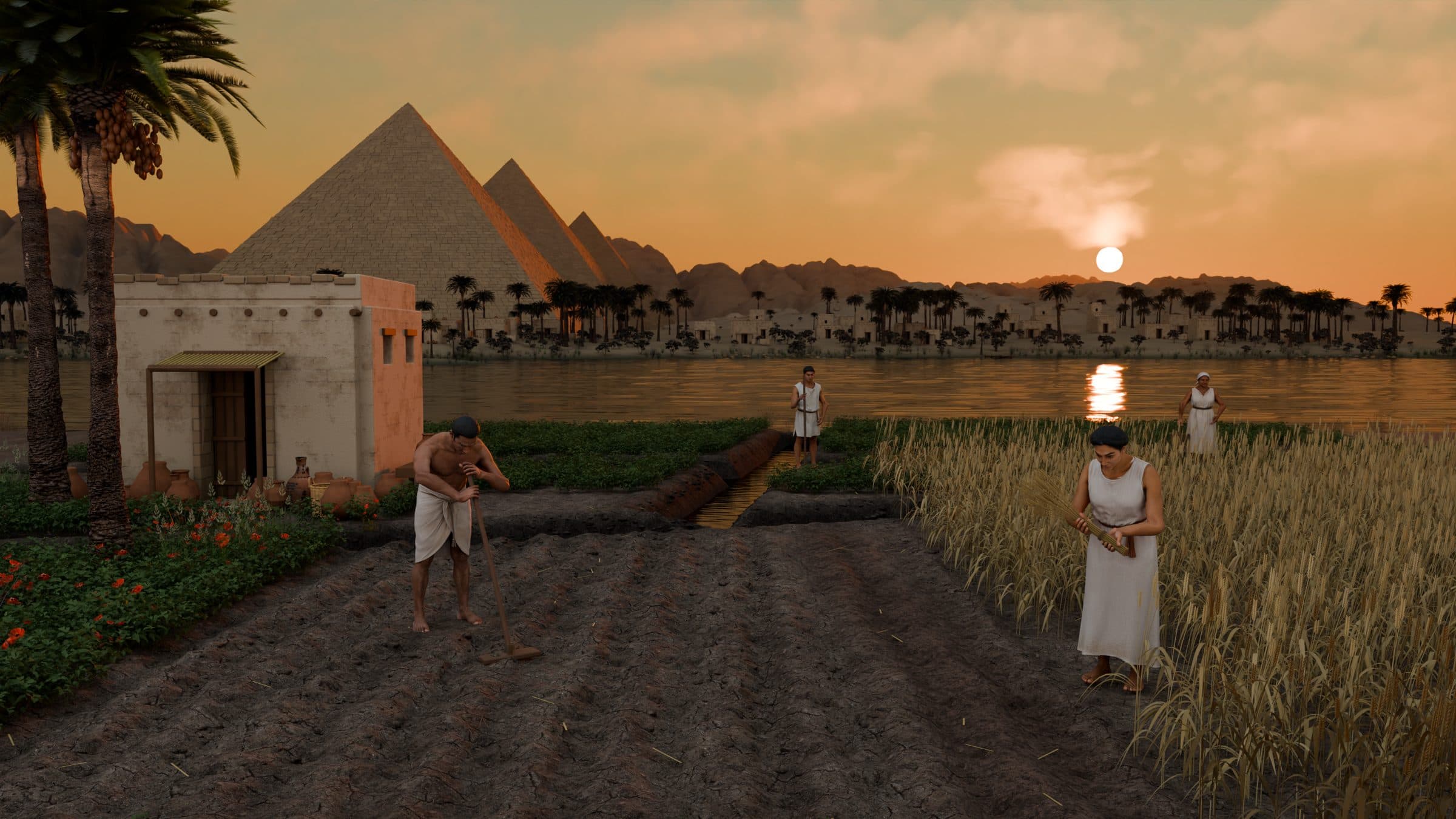 Farmers working fields beside the Nile with pyramids at sunset
